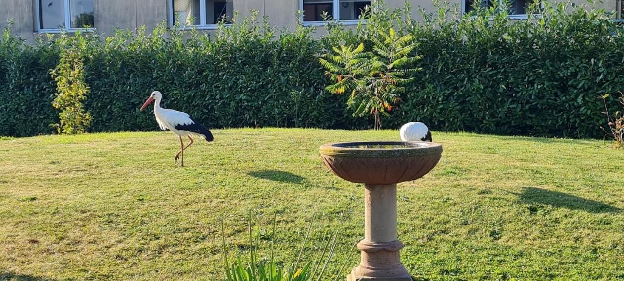 Maison D'Hotes Sainte Hune Appartements Hunawihr Buitenkant foto